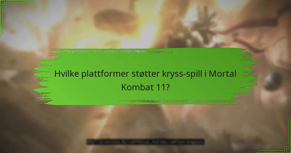 Hvilke plattformer støtter kryss-spill i Mortal Kombat 11?